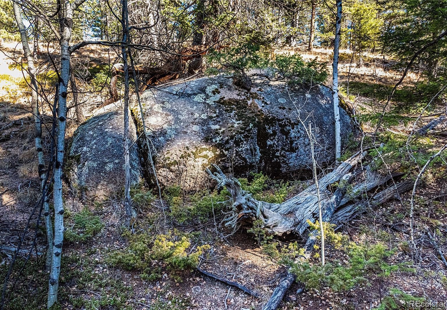 0 Arrowhead Rd Florissant, CO 80816 - Thumbnail 5
