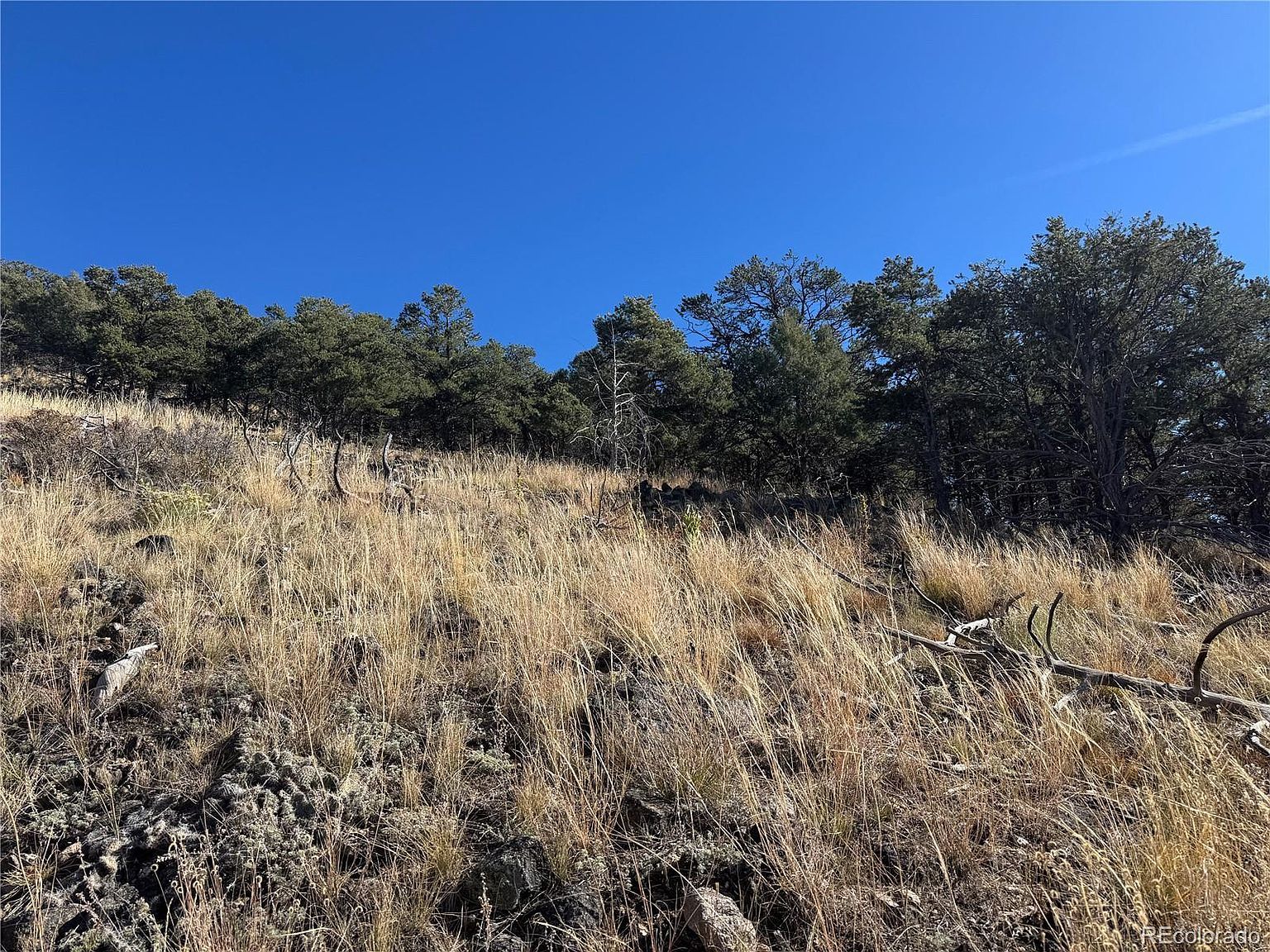 0 G Path Cotopaxi, CO 81223 - Thumbnail 5