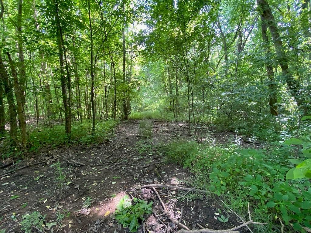 6443 N Watkins St Millington, TN 38053 - Thumbnail 5