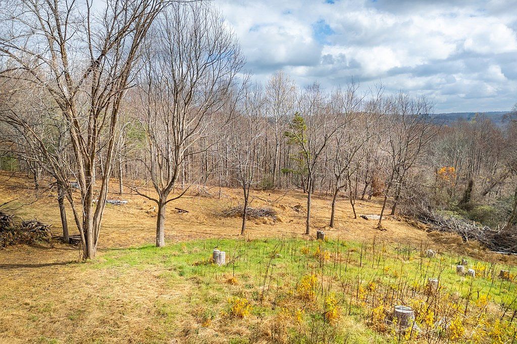 Tbd Dogwood Rdg Fancy Gap, VA 24328 - Thumbnail 5