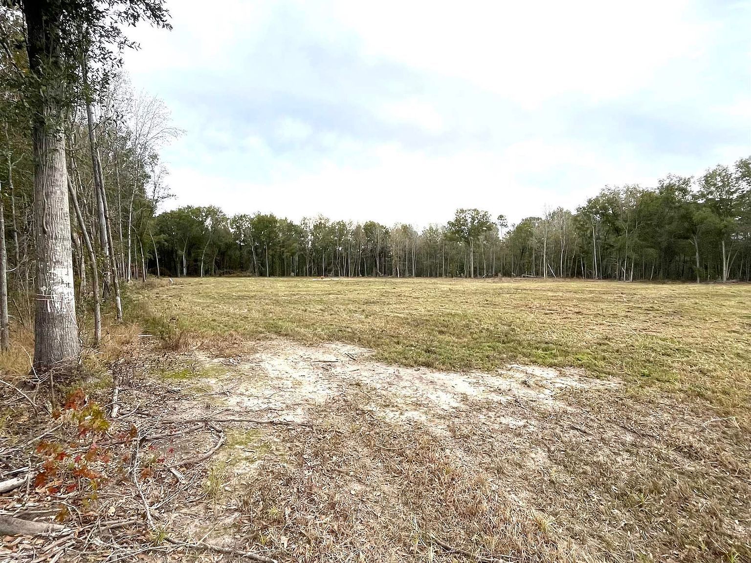 17810 Fm 1130 Orange, TX 77632 - Thumbnail 5