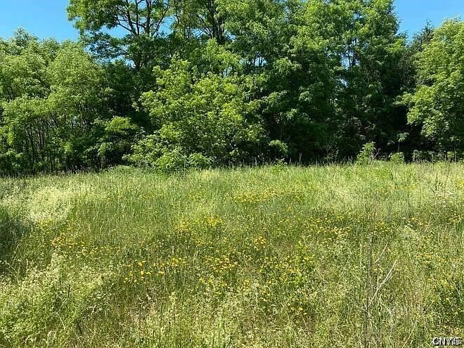 LOT 6289 53 Cavanaugh Rd Rome, NY 13440 - Thumbnail 5