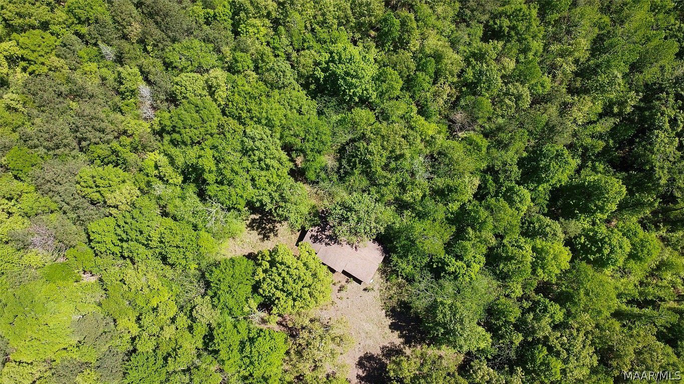 0 Old Pike Rd Mathews, AL 36052 - Thumbnail 5