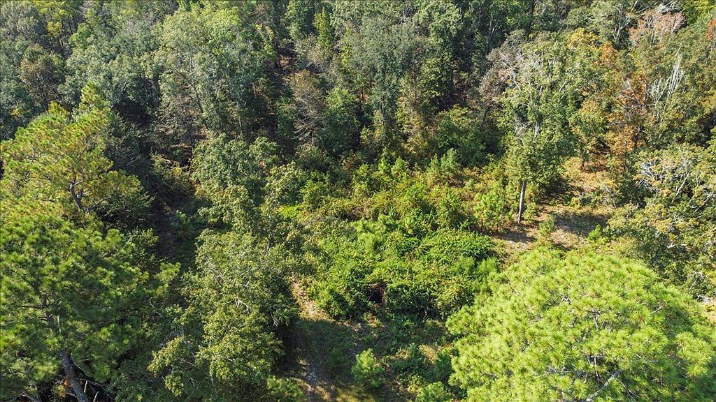 0 Cottonwood Rd Cottonwood, AL 36320 - Thumbnail 5