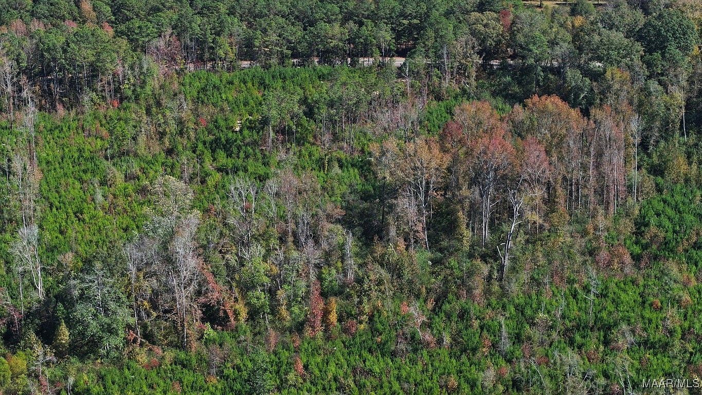 465 N Ann St Eclectic, AL 36024 - Thumbnail 5