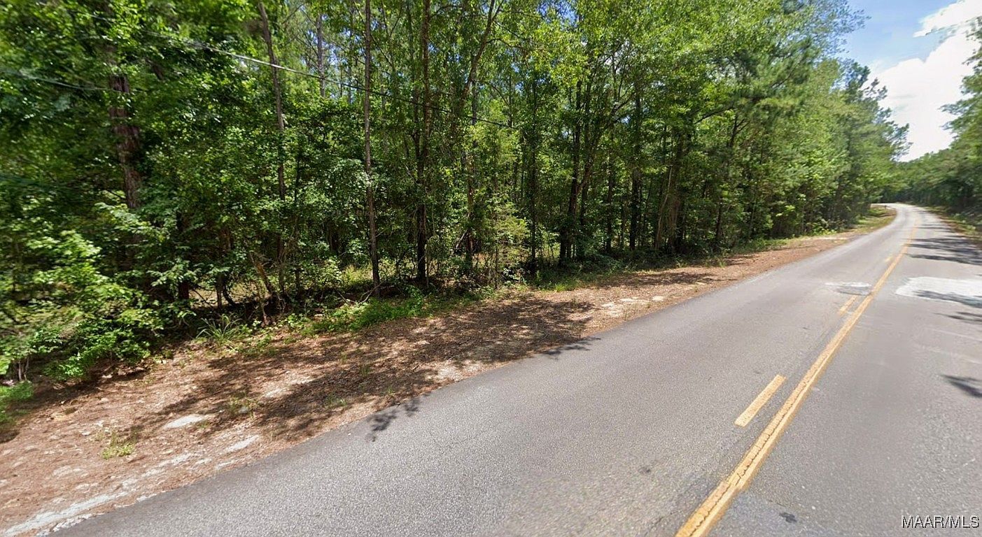 0 Lee Rd #175 Salem, AL 36874 - Thumbnail 5