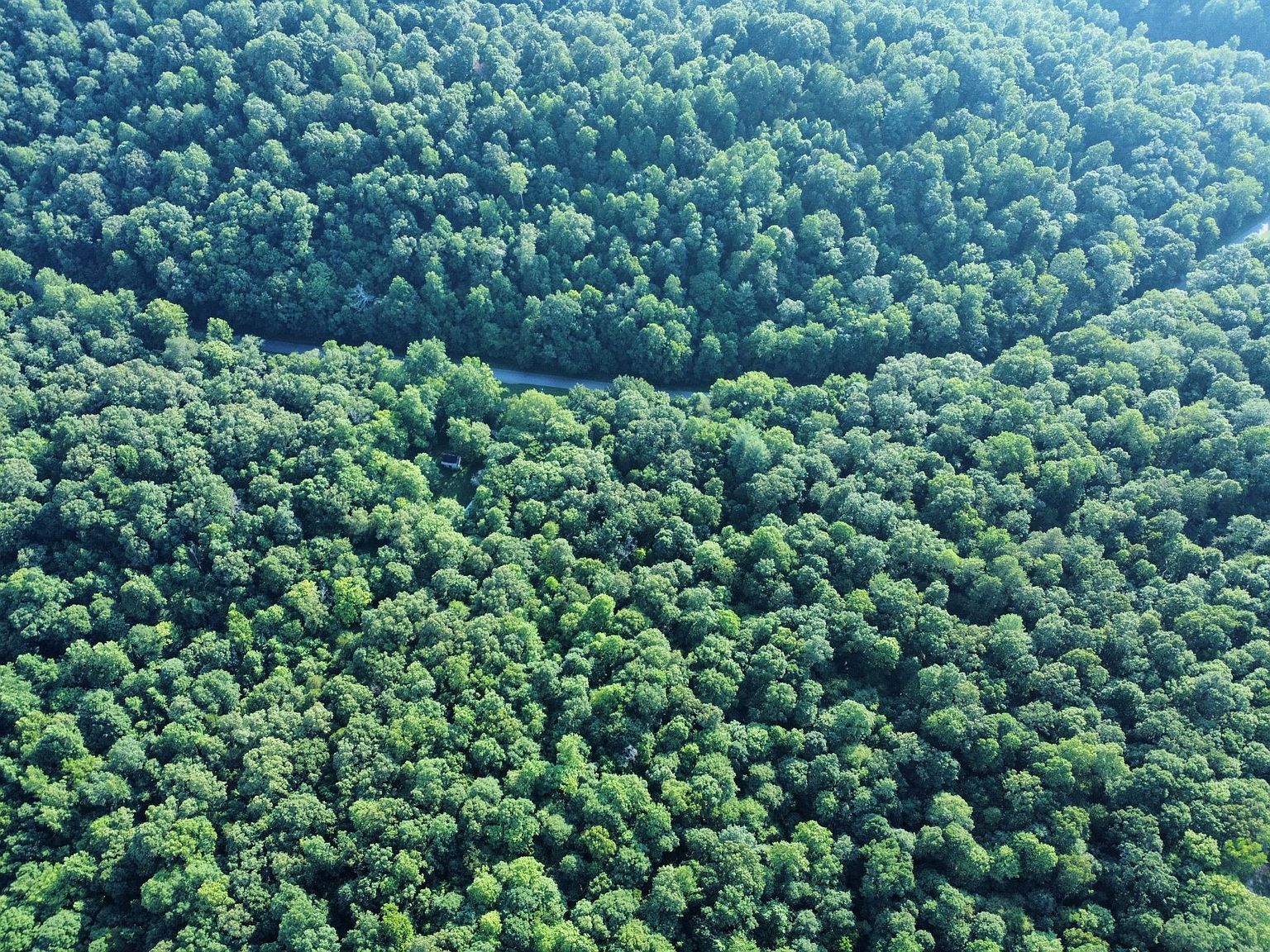 0 Baggett Hollow Rd Cunningham, TN 37052 - Thumbnail 5