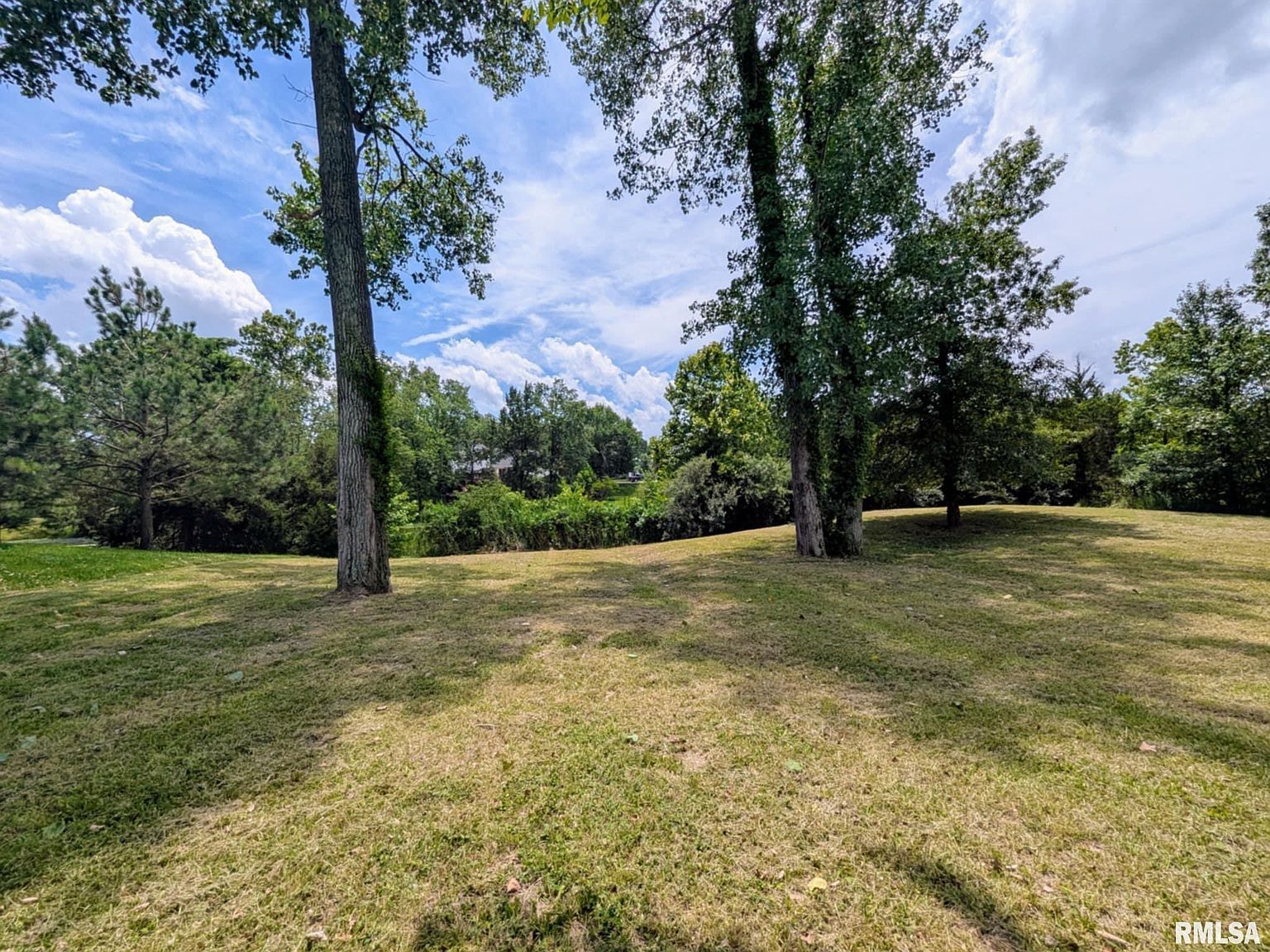 69 David Livingstone Dr Carterville, IL 62918 - Thumbnail 5