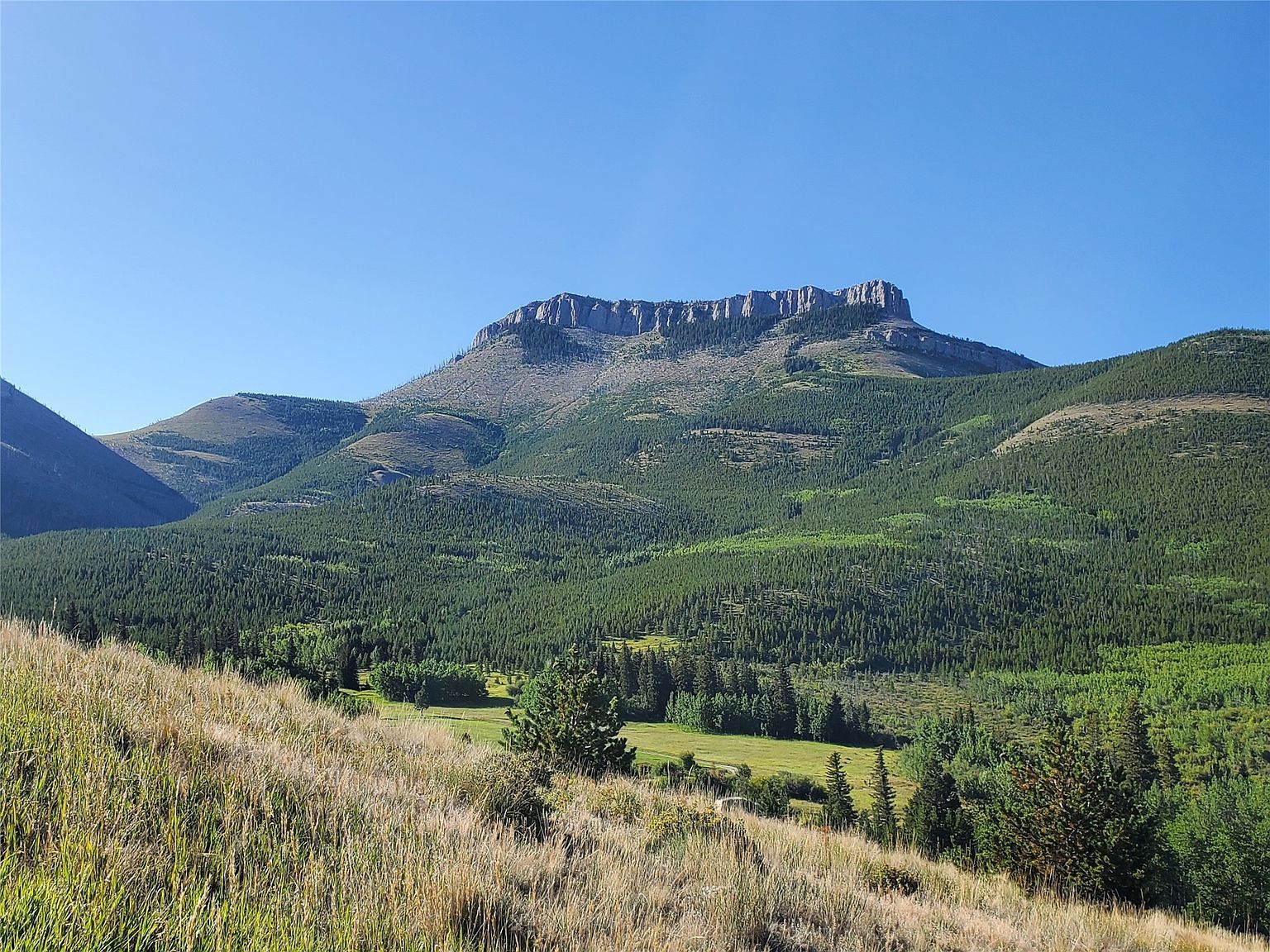 3384 Joslin Creek Rd #59410 Augusta, MT 59410 - Thumbnail 5