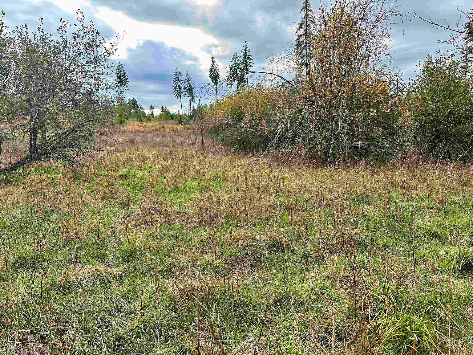 PARCEL 3 Peaceful Valley Rd Kamiah, ID 83536 - Thumbnail 5