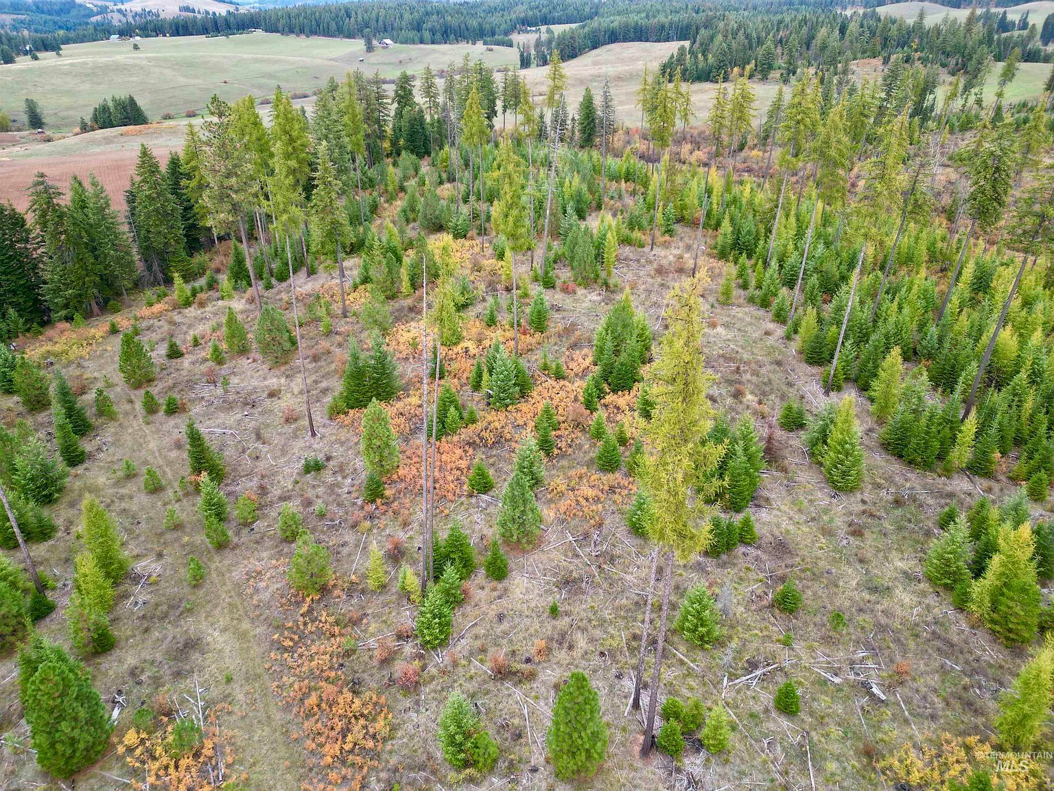 PARCEL 2 Peaceful Valley Rd Kamiah, ID 83536 - Thumbnail 5