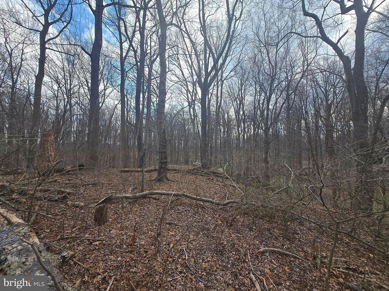 1160 Day Rd Sykesville, MD 21784 - Thumbnail 5