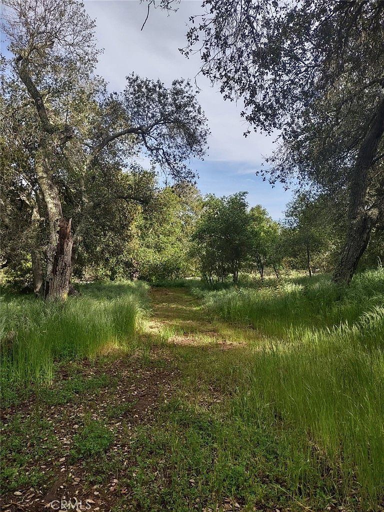 0 Avenida Perla Bonita LOT 1 Murrieta, CA 92562 - Thumbnail 5