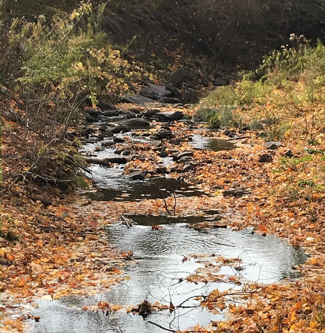 70 School View Rd Roxbury, NY 12474 - Thumbnail 5