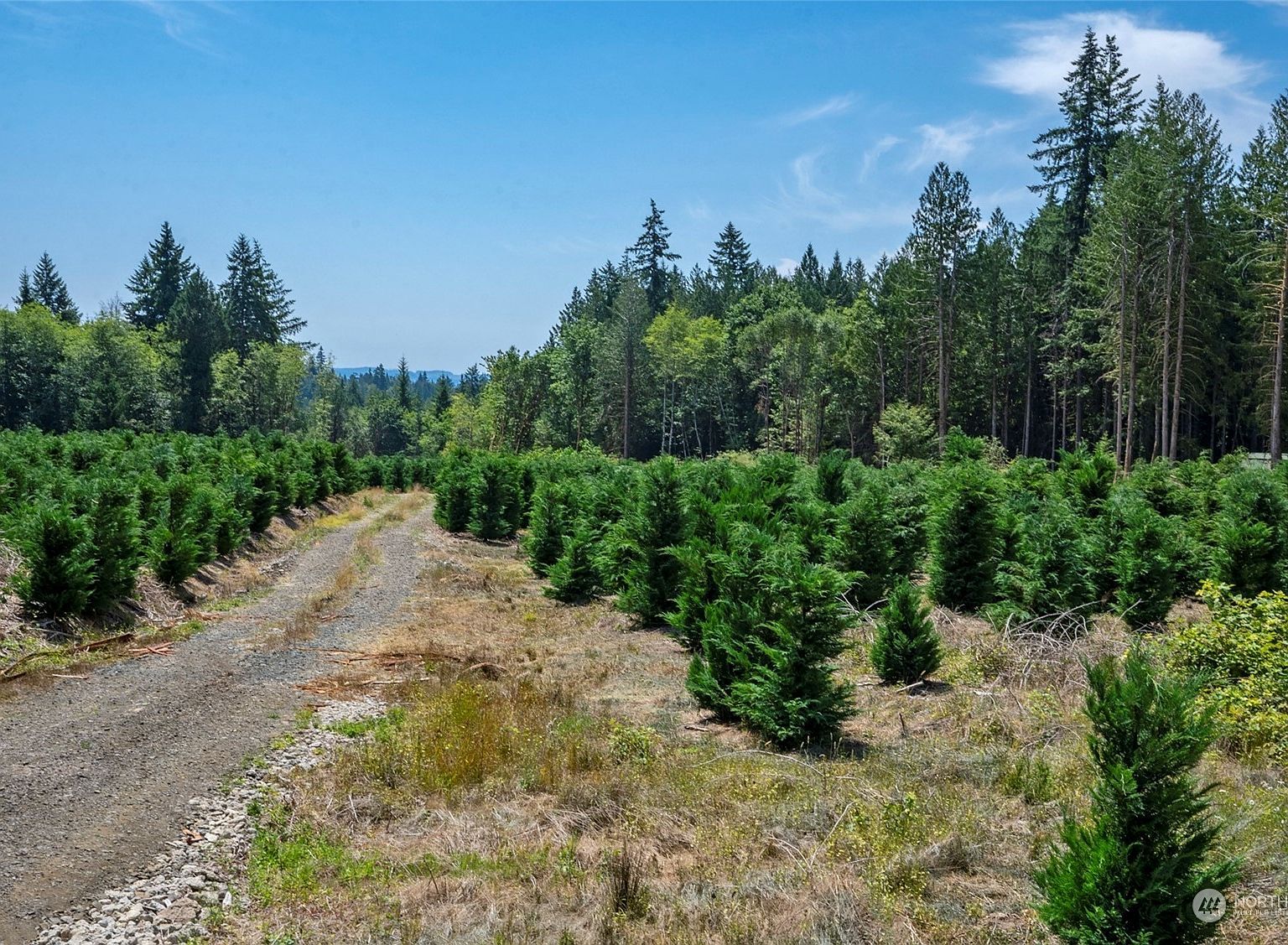 0 E Cove Crest Ln Shelton, WA 98584 - Thumbnail 5