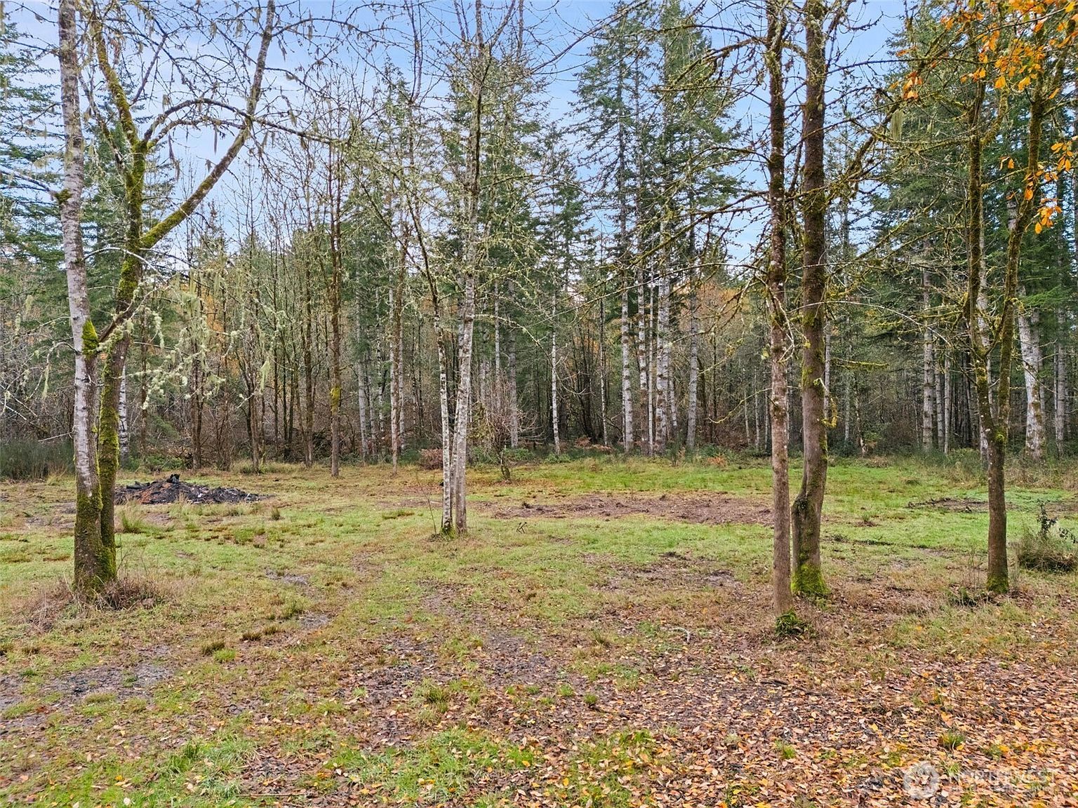 6191 E Pickering Rd Shelton, WA 98584 - Thumbnail 5