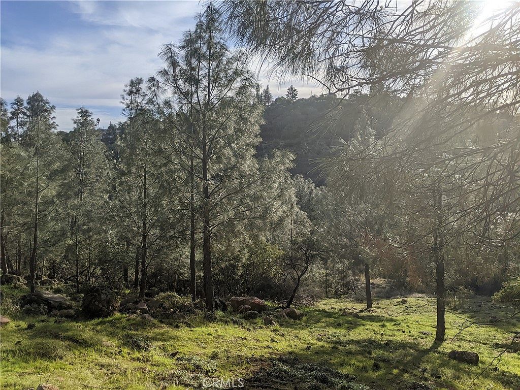 10353 Walnut Way #10 Kelseyville, CA 95451  | Land/Lot