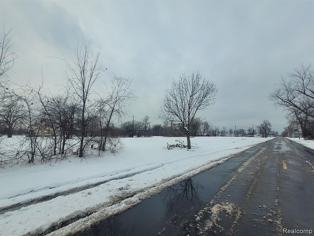 4253 Lawton St Detroit, MI 48208 - Thumbnail 5