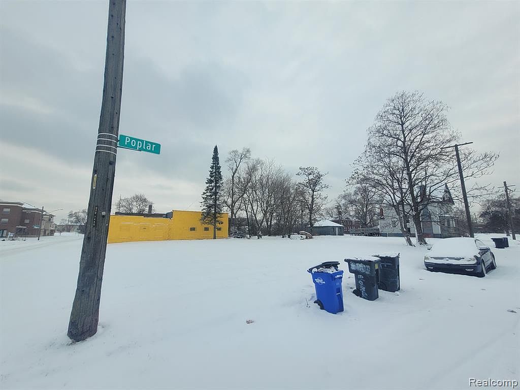 2005 Poplar St Detroit, MI 48208 - Thumbnail 5