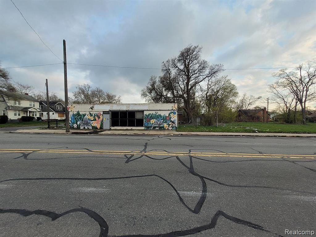 15317 Schoolcraft St Detroit, MI 48227 - Thumbnail 5