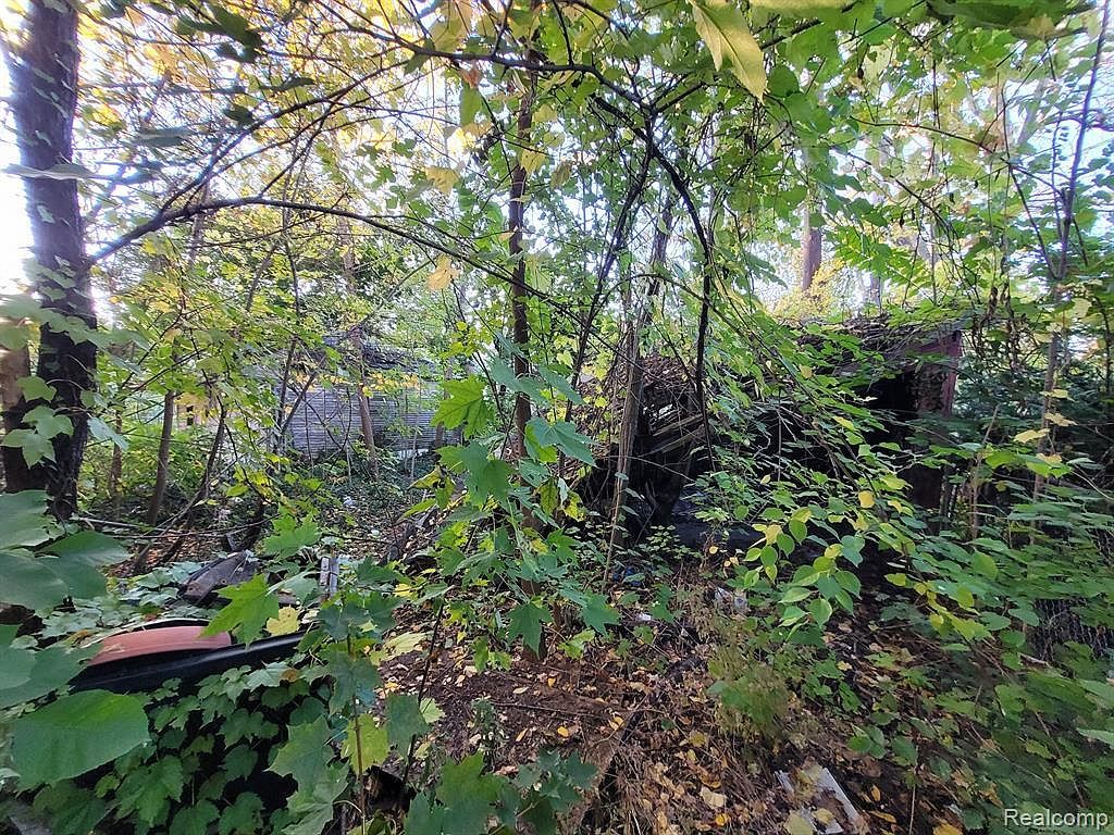 4824 Cortland St Detroit, MI 48204 - Thumbnail 5