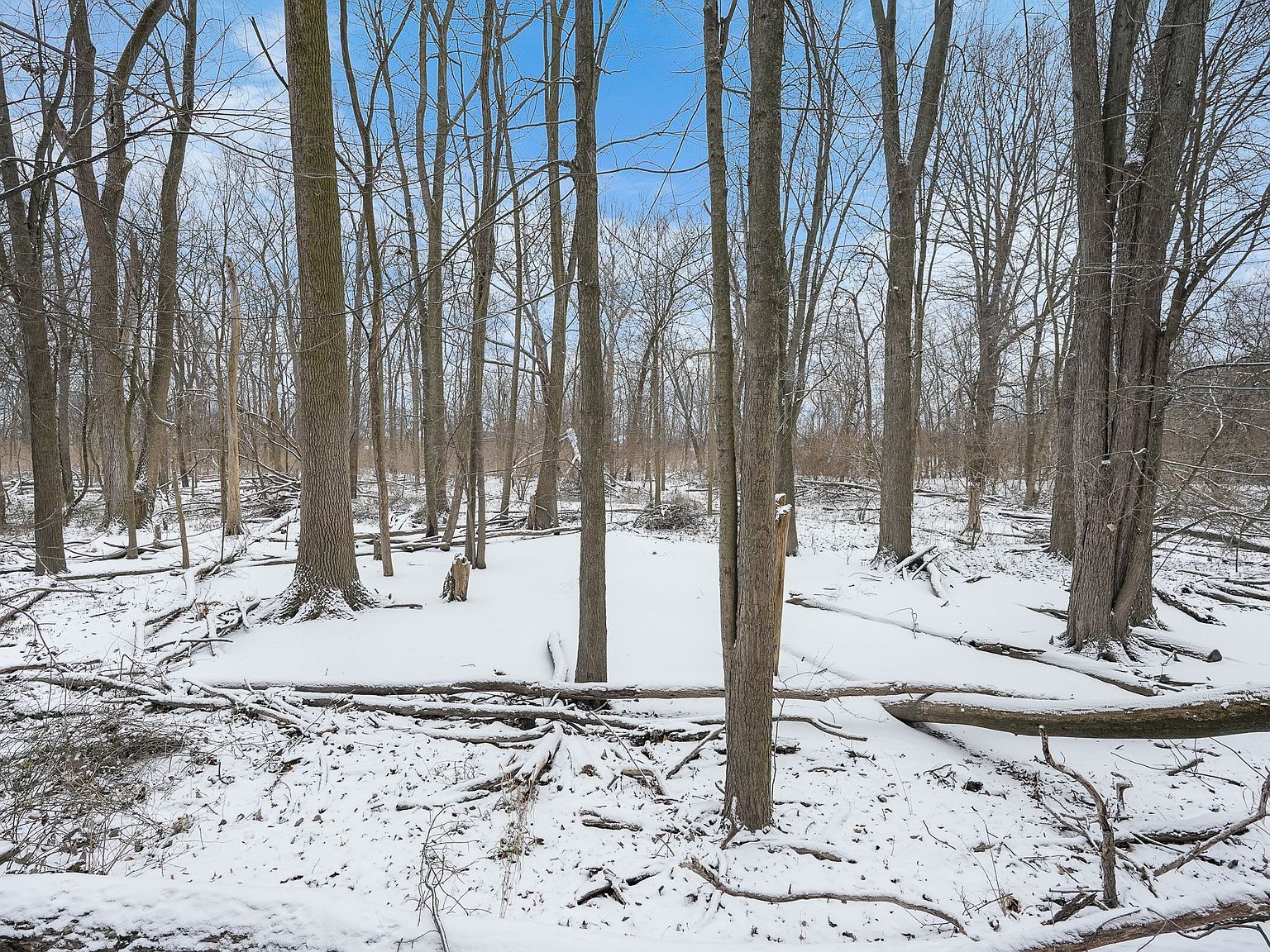 Moravian Dr Clinton Township, MI 48036 - Thumbnail 5