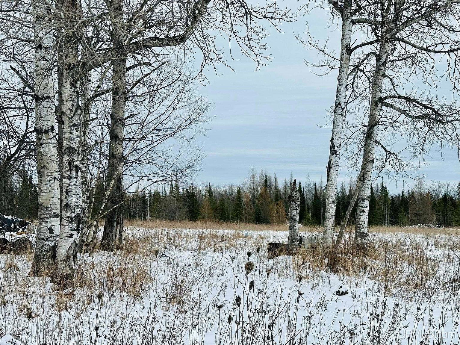 June Rd Rapid River, MI 49878 - Thumbnail 5