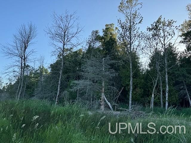 Tbd Juniper Aa Ln Rapid River, MI 49878 | Land/Lot