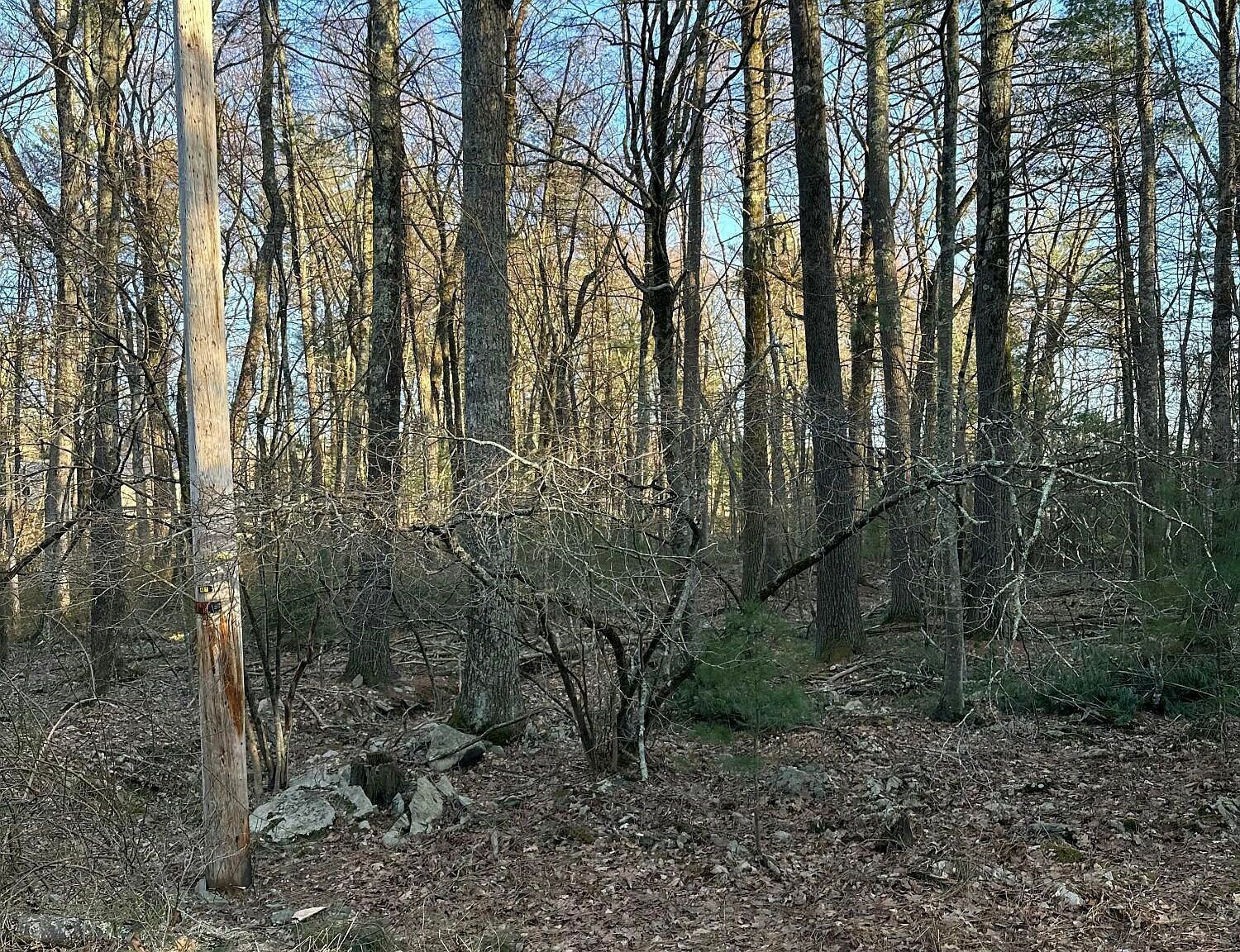 LOT 1537 Sequoia Ln Milford, PA 18337 - Thumbnail 5