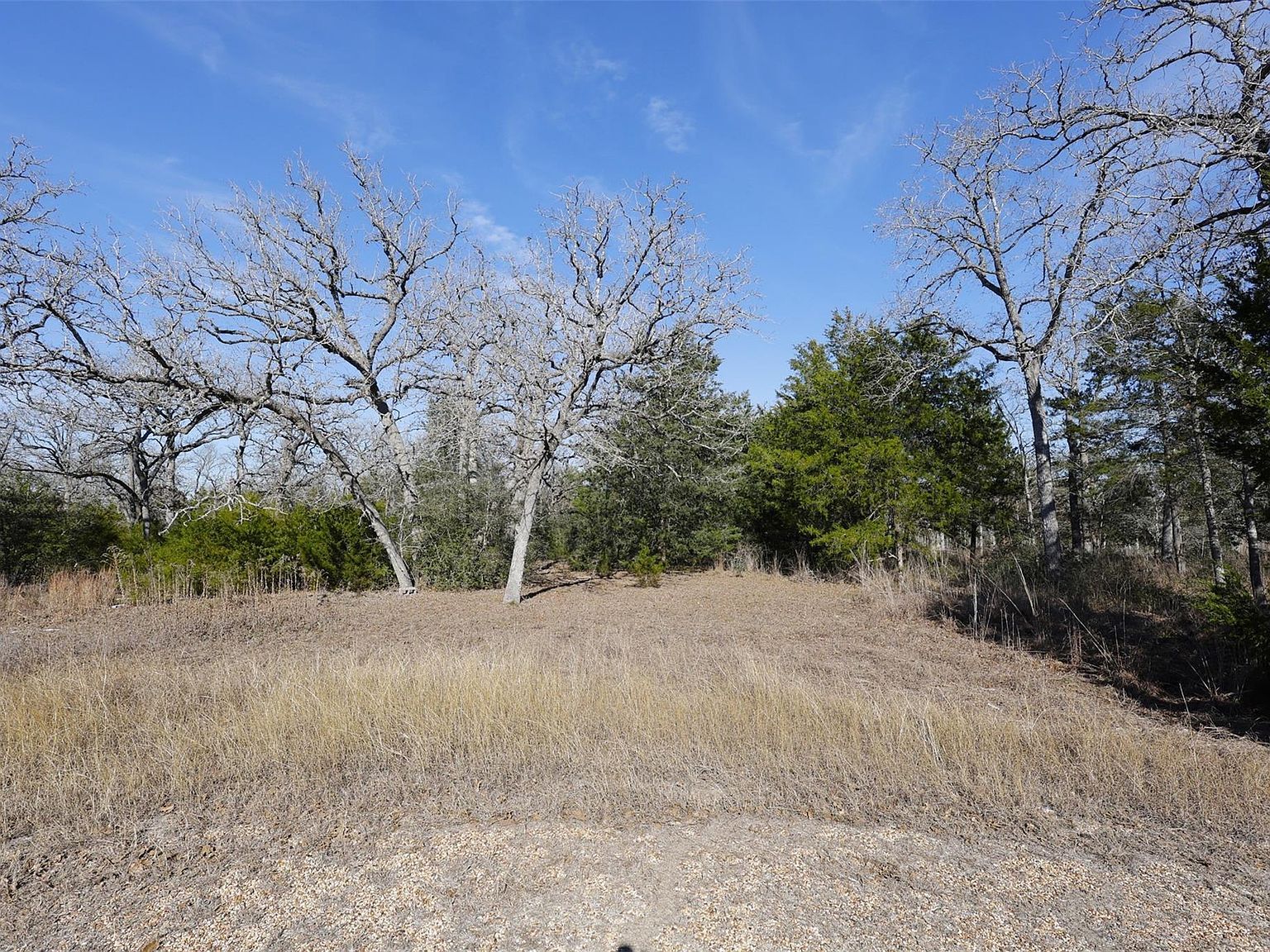 110 Poplar Ln Lot 25 Somerville, TX 77879 - Thumbnail 5