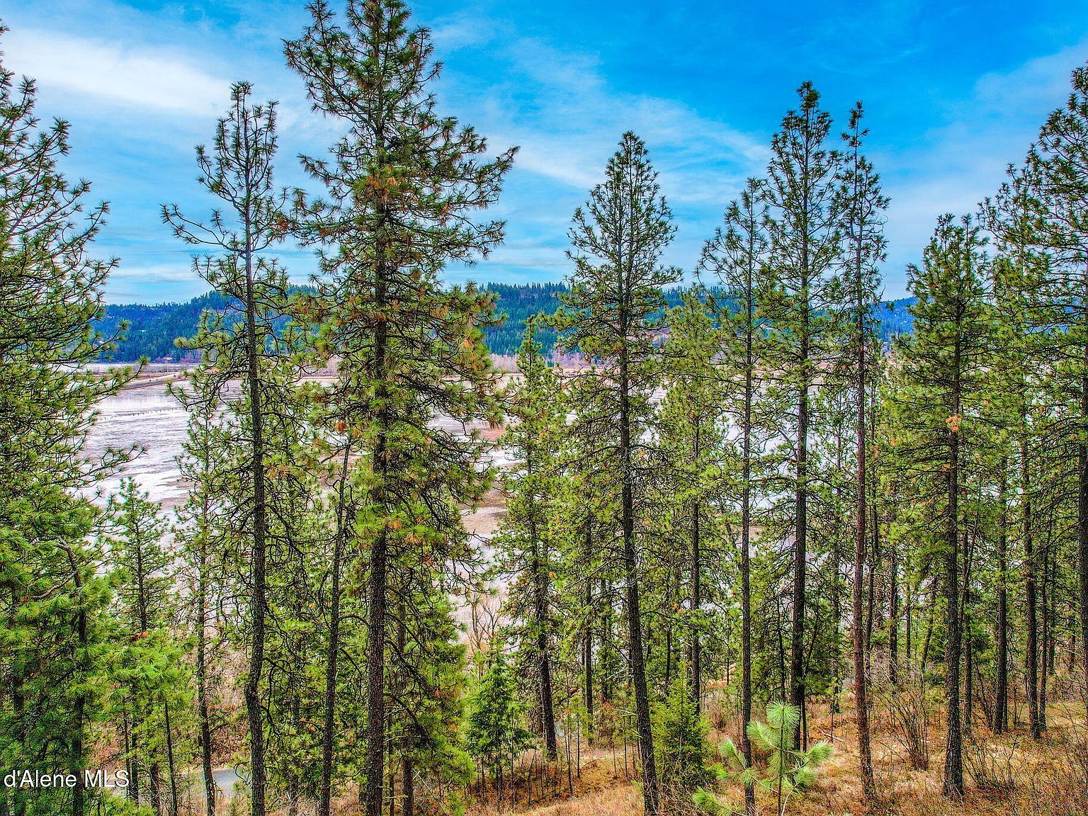 Nna S #H-97 Harrison, ID 83833 - Thumbnail 5