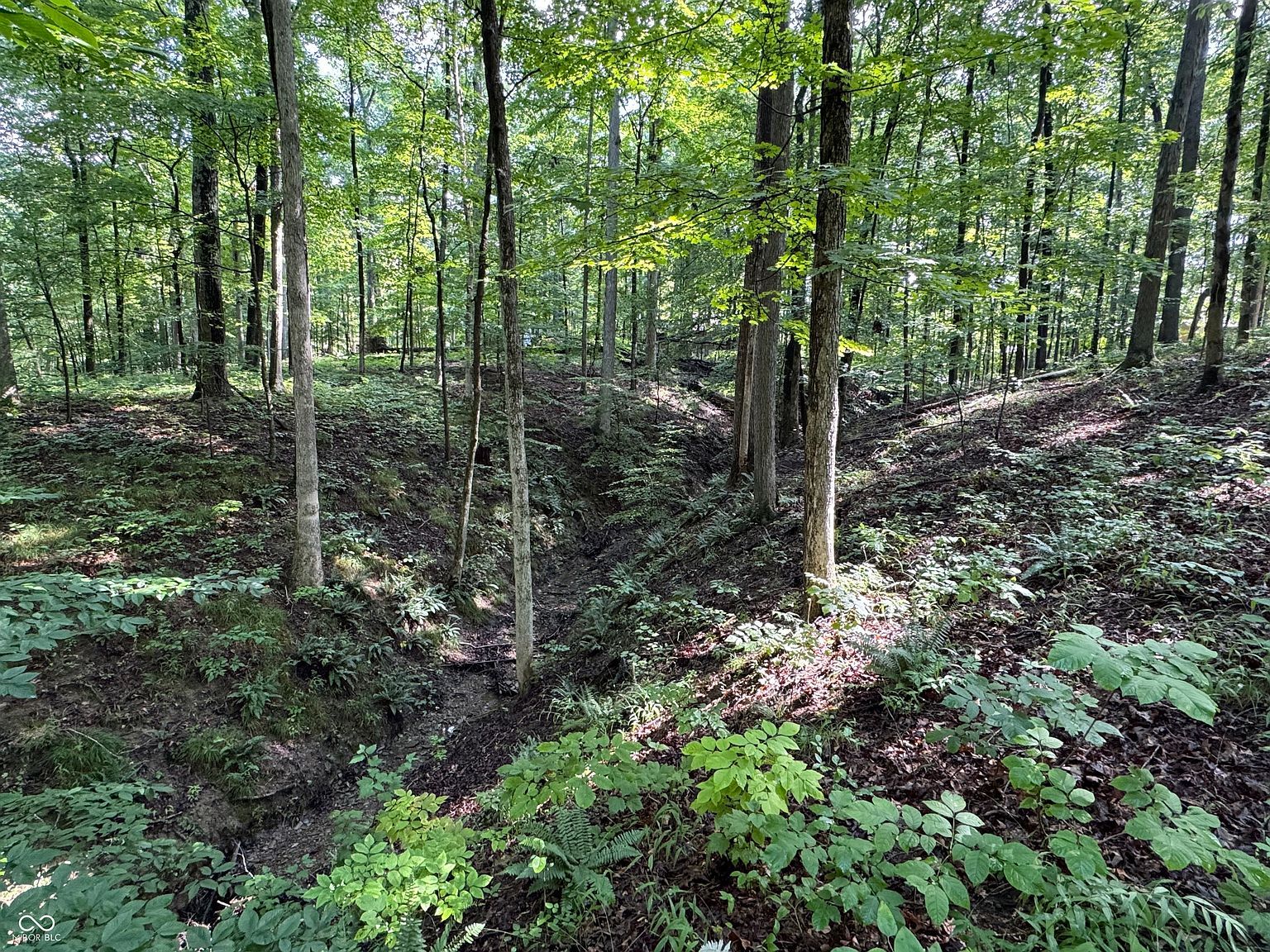 X Fox Ct Nineveh, IN 46164 - Thumbnail 5