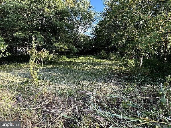 446 Neiman Rd Pottstown, PA 19465 - Thumbnail 5