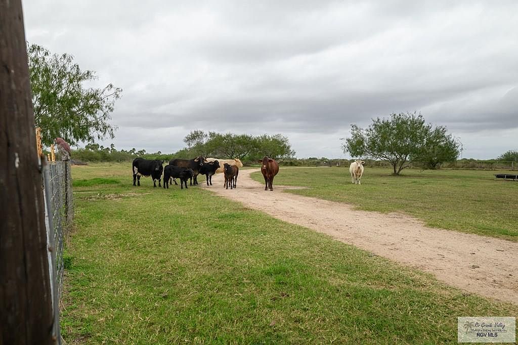 30478 Guajardo Rd Rio Hondo, TX 78583 - Thumbnail 5