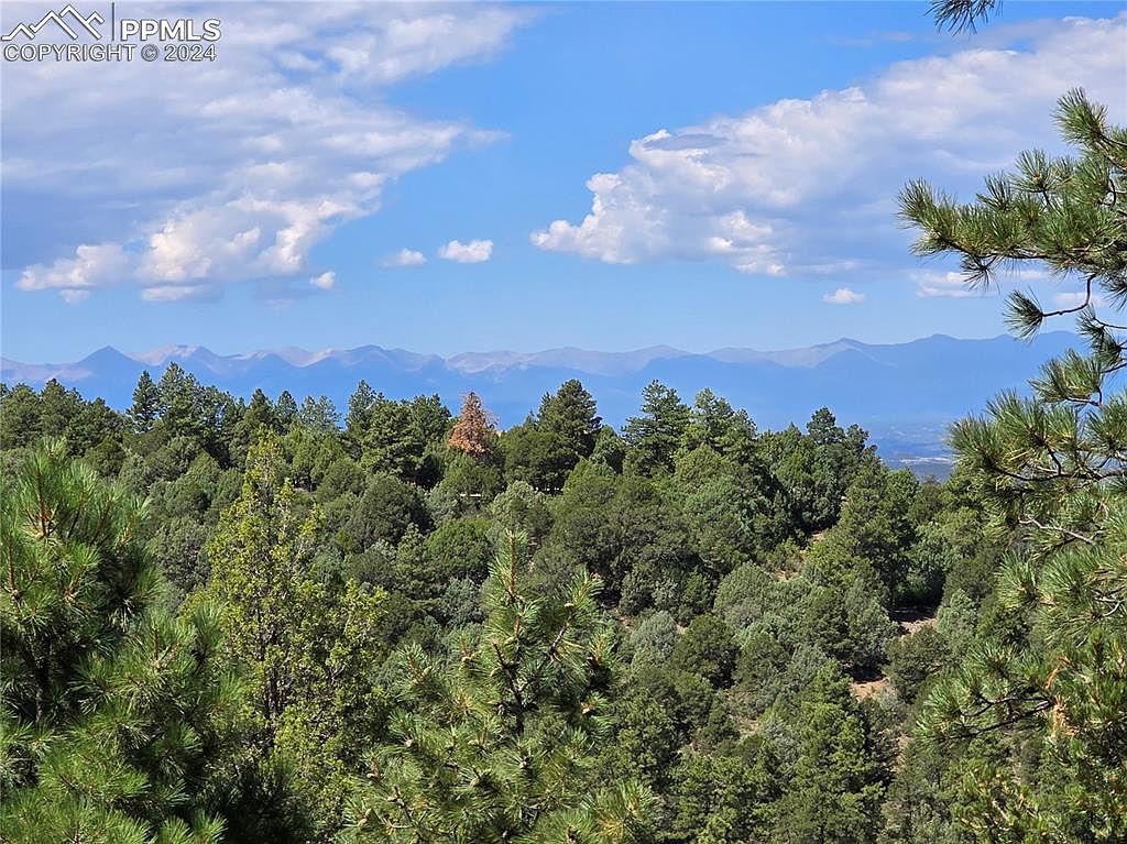 33036 Meadow Ridge Ln Trinidad, CO 81082 - Thumbnail 5