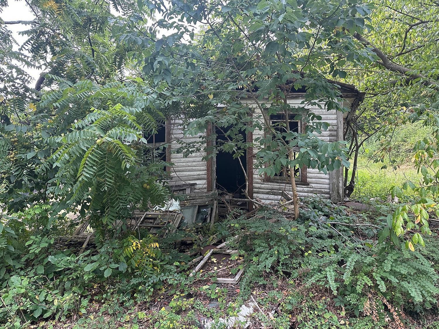 0 Lexington Tpke Amherst, VA 24521 - Thumbnail 5