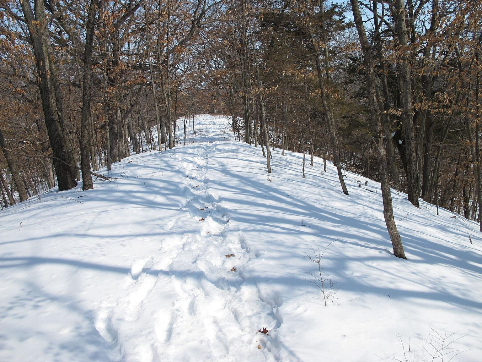 PARCEL W Centennial Dr #Q Huxley, IA 50124 - Thumbnail 5