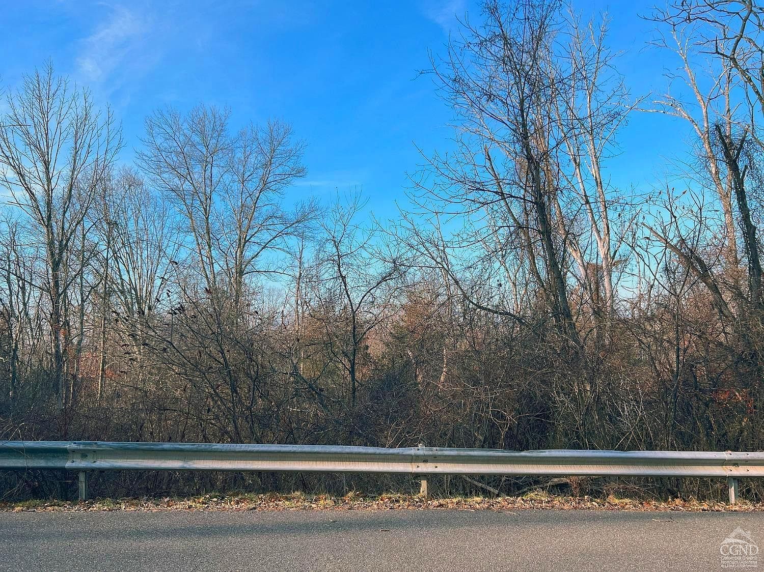 160 Tommy Trl Coxsackie, NY 12051 - Thumbnail 5