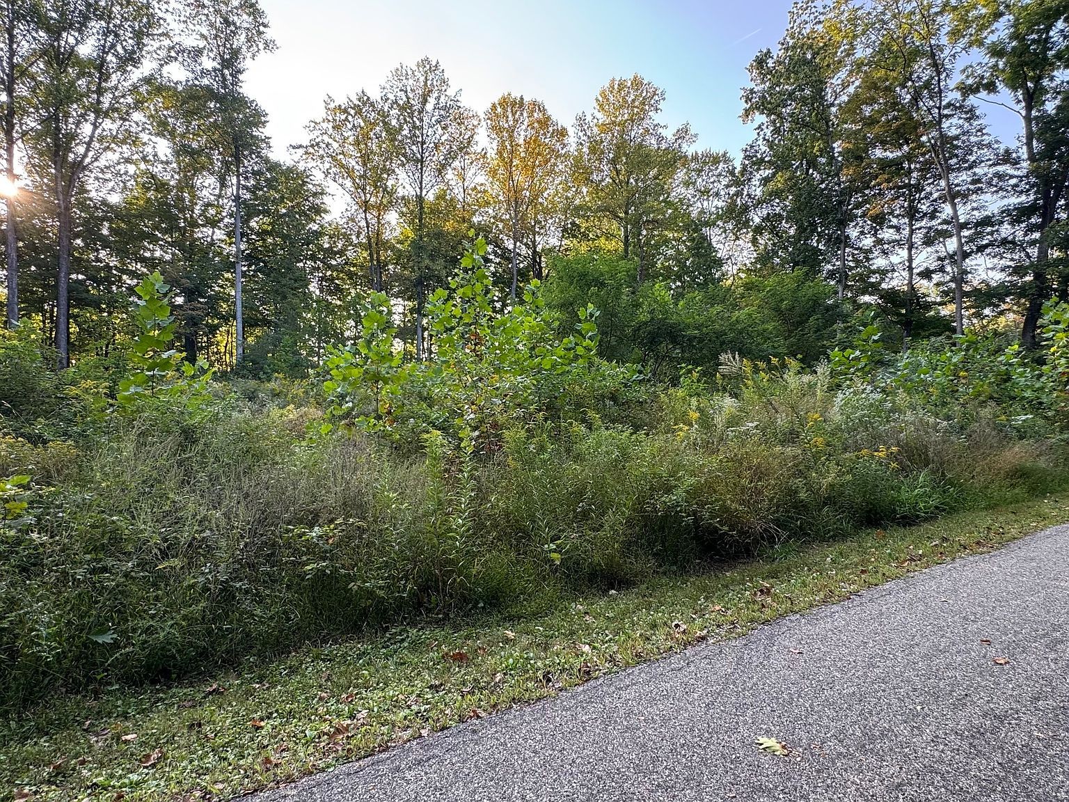 0 S Paradise Bay Blvd Rockville, IN 47872 - Thumbnail 5