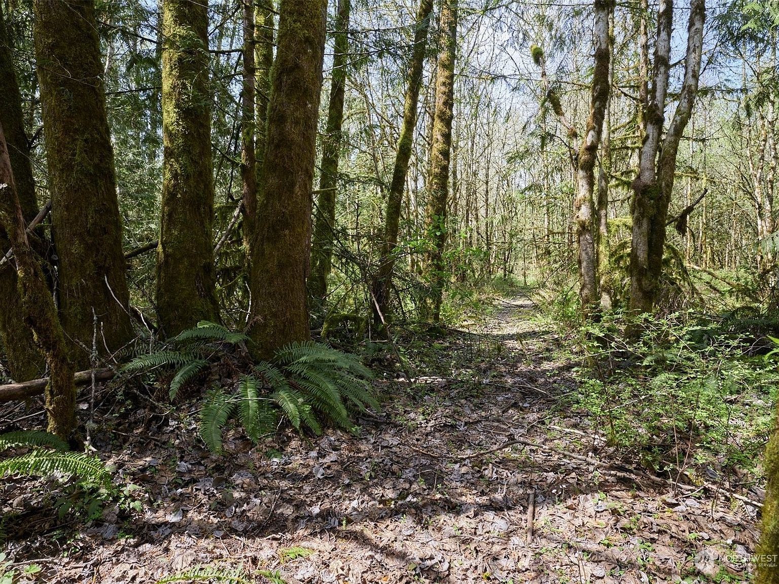 9701 NE 299th St Battle Ground, WA 98604 - Thumbnail 5