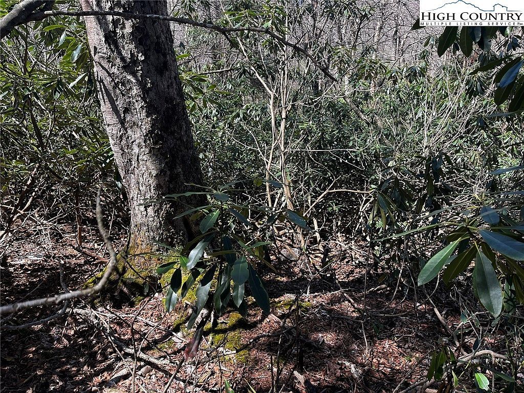 117 Wild Daisy Ln Banner Elk, NC 28604 - Thumbnail 5