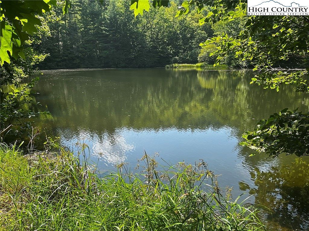 2836 Pine Swamp Rd Fleetwood, NC 28626 - Thumbnail 5