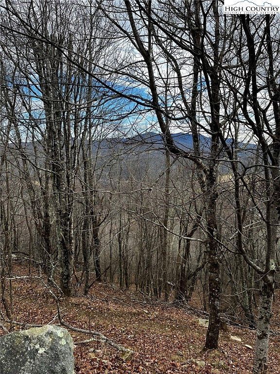 LOT 18 Wakeman Way Banner Elk, NC 28604 - Thumbnail 5