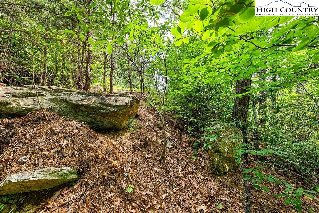 189 Marigold Rd Boone, NC 28607 - Thumbnail 5