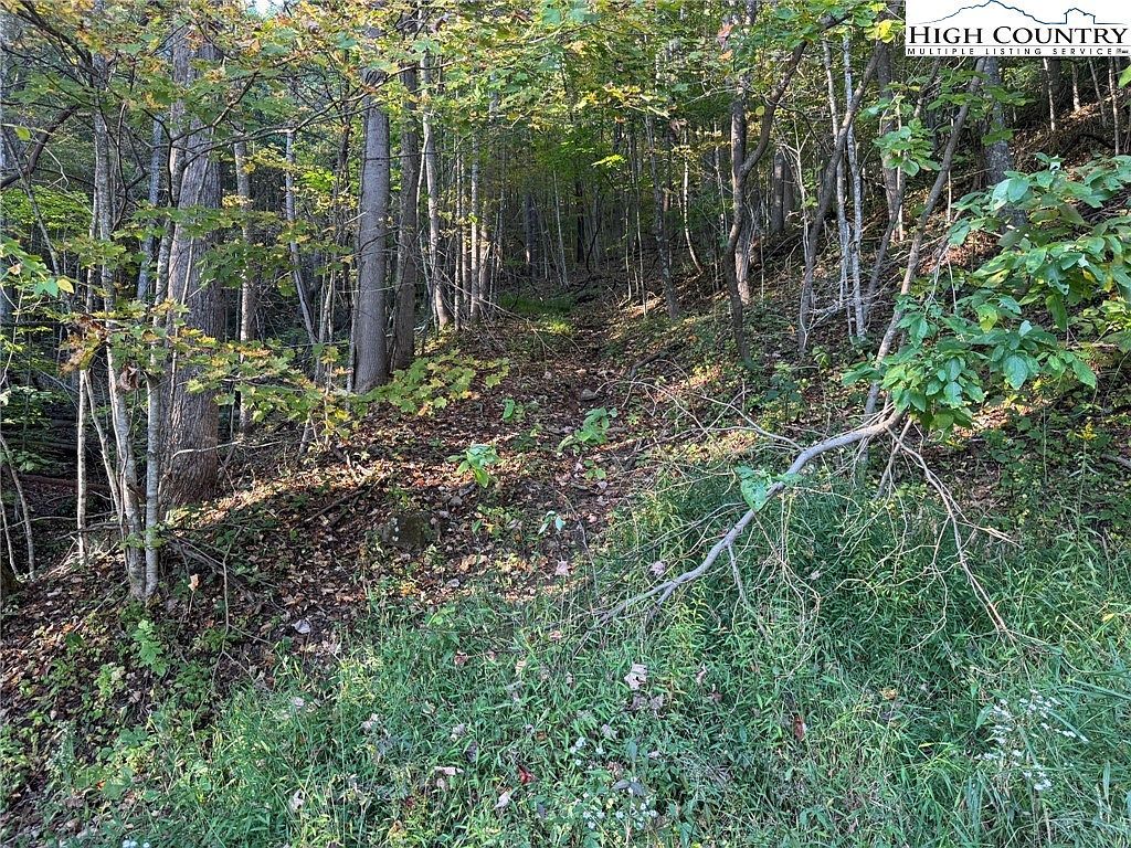 Mulberry Cove Rd Boone, NC 28607 - Thumbnail 5