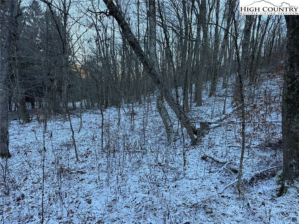 Woodland Springs Ln Boone, NC 28607 - Thumbnail 5