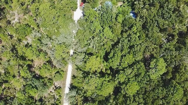 0 NE 138th Ter LOT 8 Williston, FL 32696 - Thumbnail 5