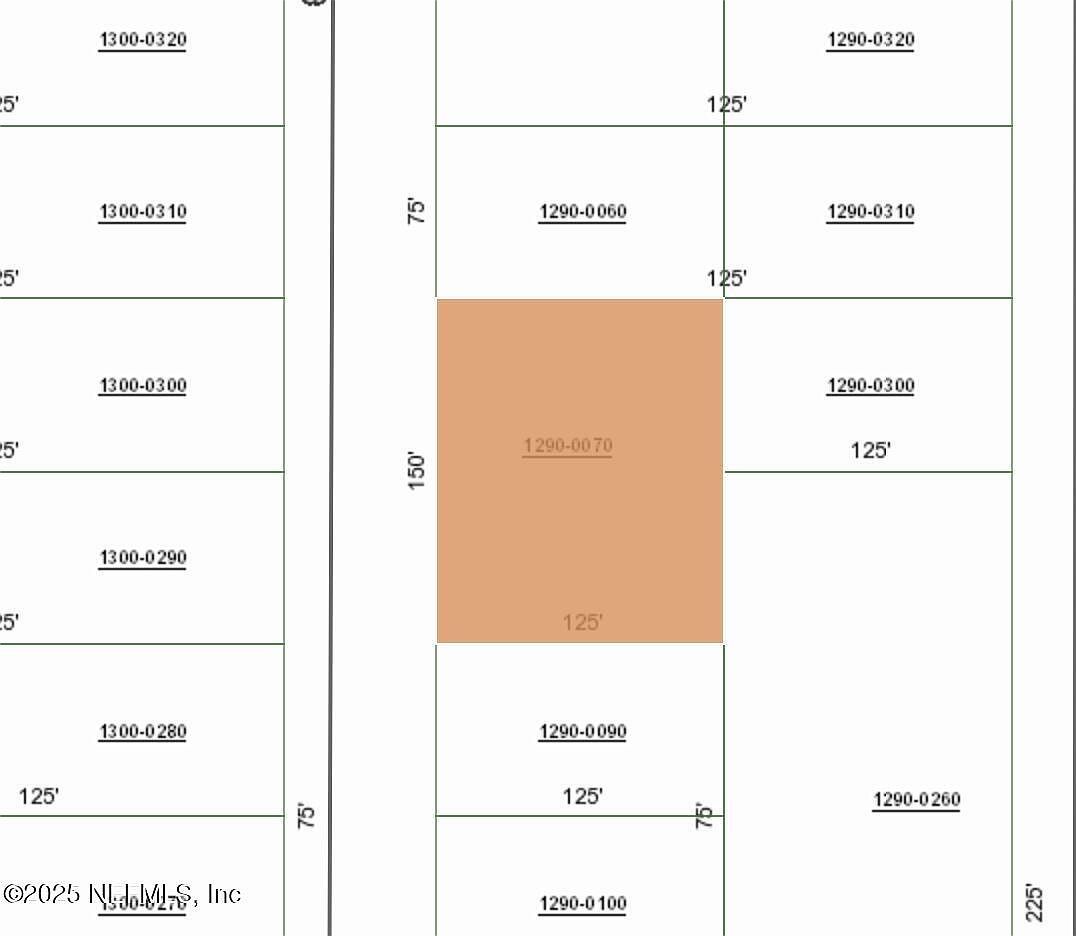 0 Shappell Ave Interlachen, FL 32148 - Thumbnail 5