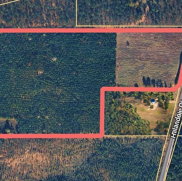 9030 Hillandale Dr Auburn, AL 36830 - Thumbnail 5