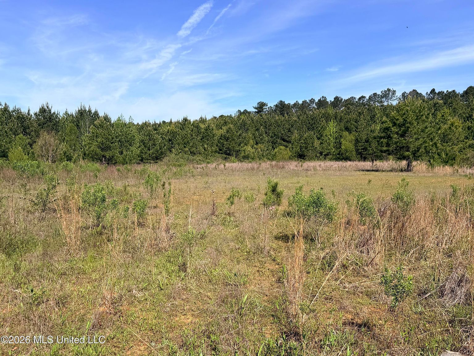 Chathaw Path Smithdale, MS 39664 - Thumbnail 5